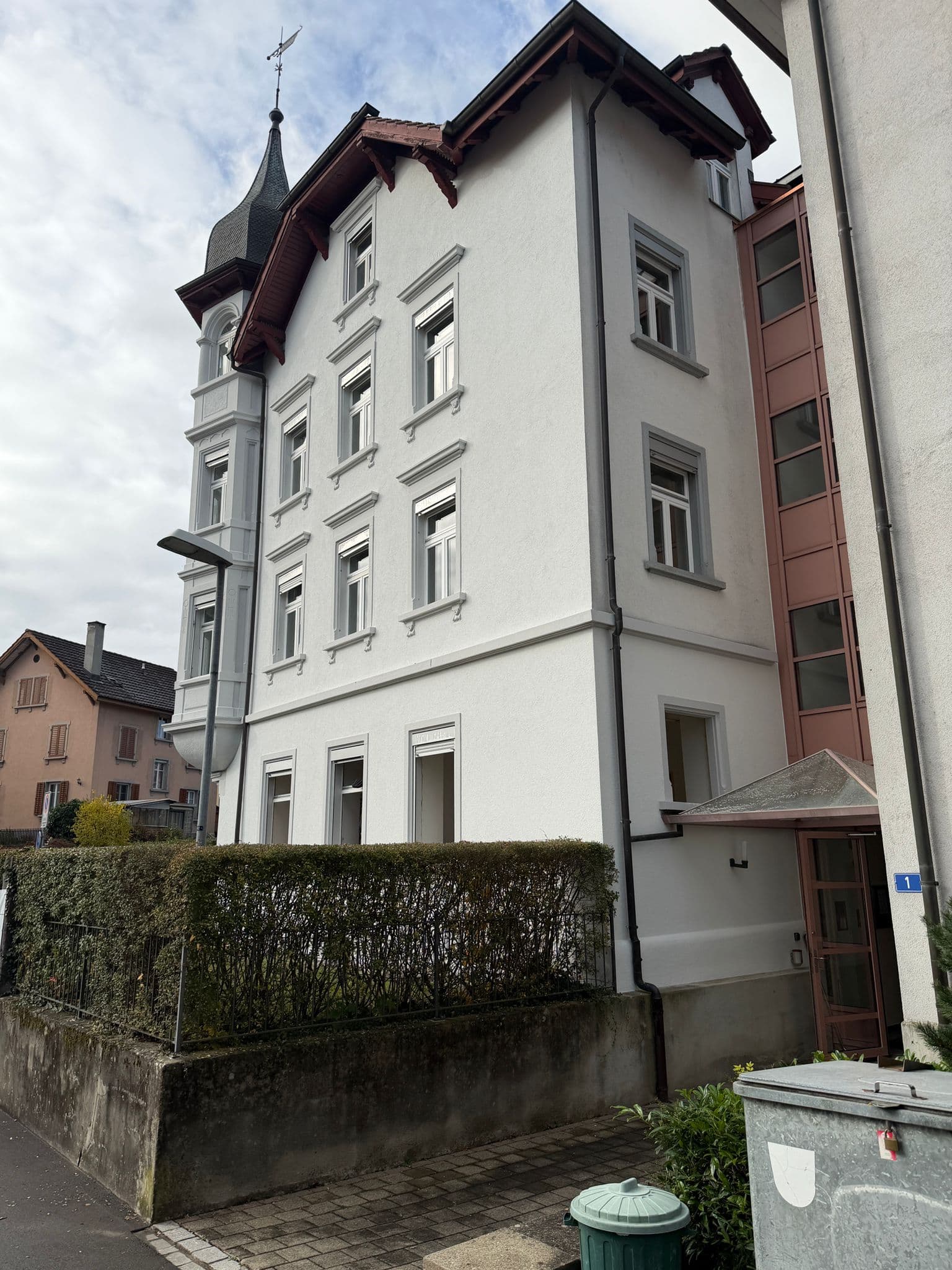 Fassade Reinigung sanirung Scahffhausen Neuhausen